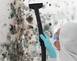 Best Mold Removal for HVAC Installations  in Crafton, PA